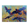 Trademark Fine Art Marion Rose 'Crows 6' Canvas Art, 30x47 ALI15364-C3047GG